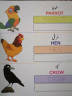 ABC, 123 & Urdu Alphabets Book Set for Kids | 3-Pack Early Learning Books