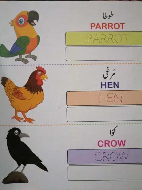 ABC, 123 & Urdu Alphabets Book Set for Kids | 3-Pack Early Learning Books